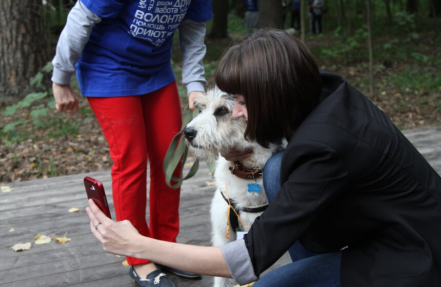 В парке "Фили" прошло закрытие фестиваля "Приюти друг@" 20 фото
