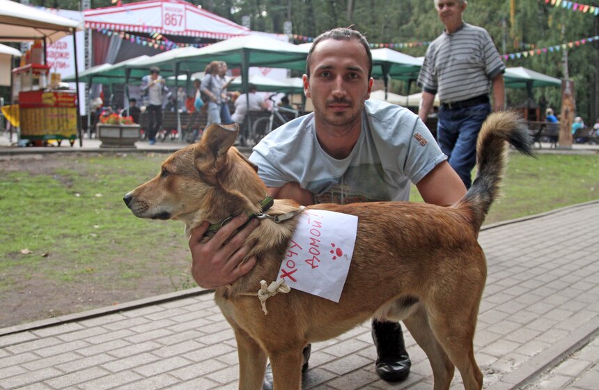 В парке "Фили" прошло закрытие фестиваля "Приюти друг@" 24 фото
