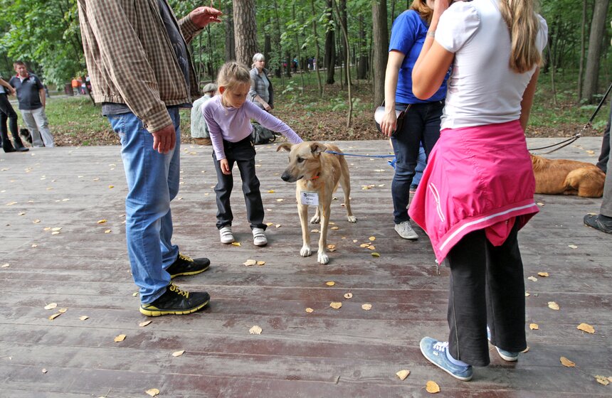 В парке "Фили" прошло закрытие фестиваля "Приюти друг@" 10 фото