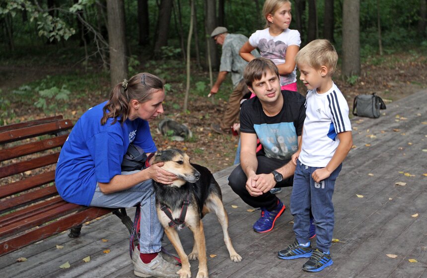 В парке "Фили" прошло закрытие фестиваля "Приюти друг@" 9 фото