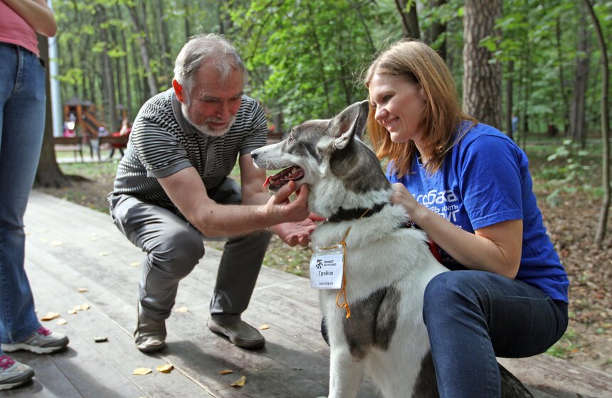 В парке "Фили" прошло закрытие фестиваля "Приюти друг@" 2 фото