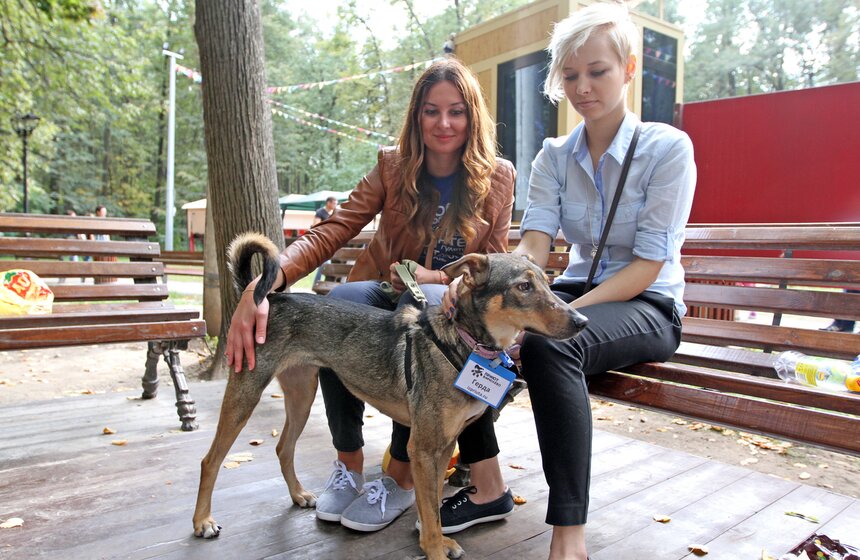 В парке "Фили" прошло закрытие фестиваля "Приюти друг@" 4 фото