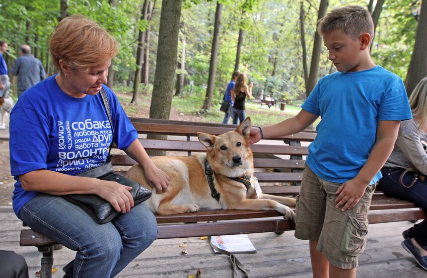 В парке "Фили" прошло закрытие фестиваля "Приюти друг@" 6 фото