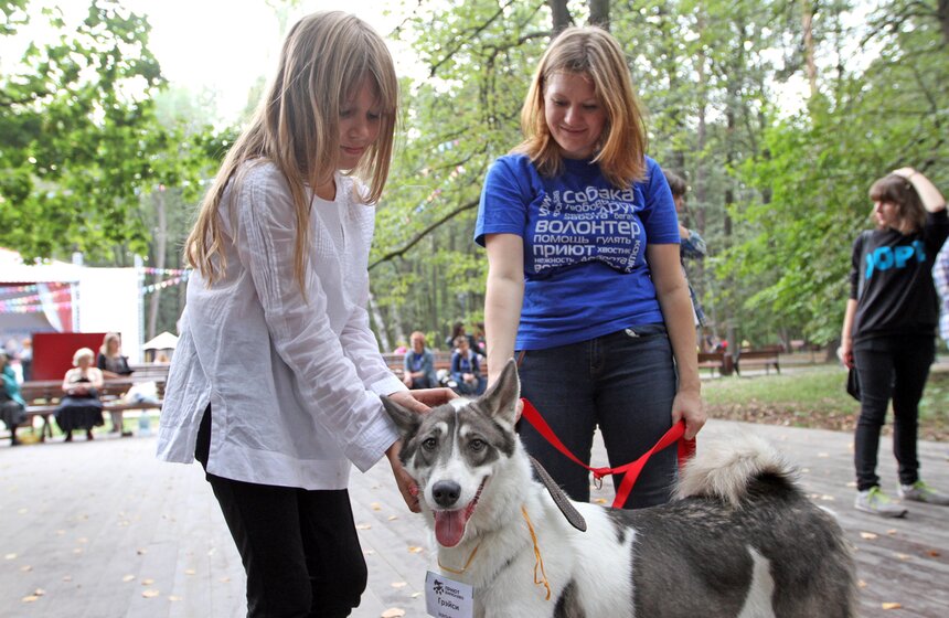 В парке "Фили" прошло закрытие фестиваля "Приюти друг@" 14 фото