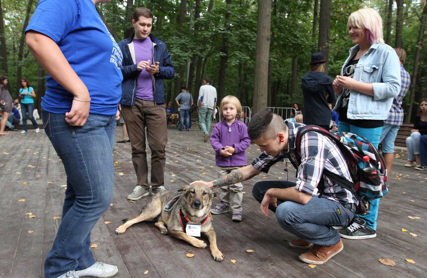 В парке "Фили" прошло закрытие фестиваля "Приюти друг@" 17 фото