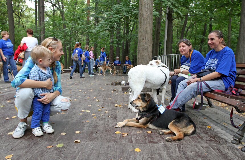 В парке "Фили" прошло закрытие фестиваля "Приюти друг@" 16 фото