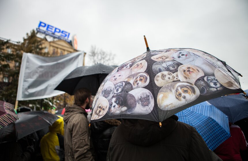 В Новопушкинском сквере прошел митинг против догхантеров 2 фото