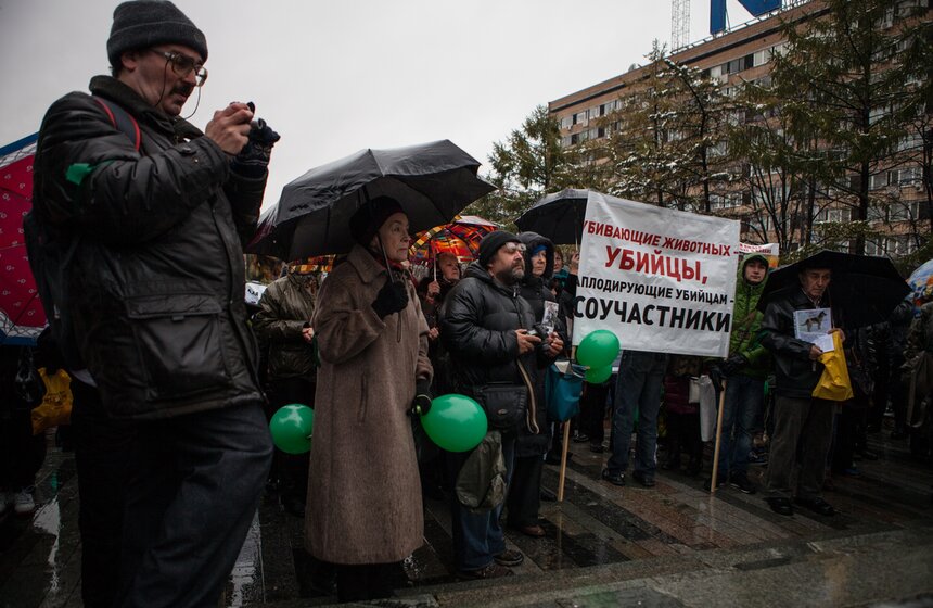 В Новопушкинском сквере прошел митинг против догхантеров 4 фото