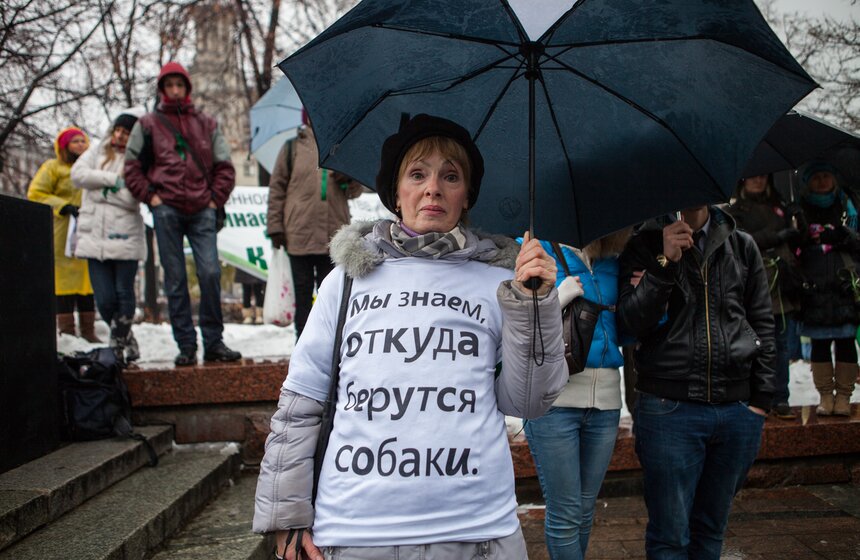 В Новопушкинском сквере прошел митинг против догхантеров 21 фото