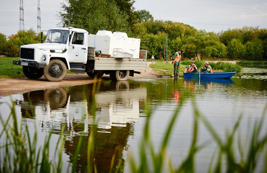 В Верхний Кузьминский пруд запустили рыбу 2 фото