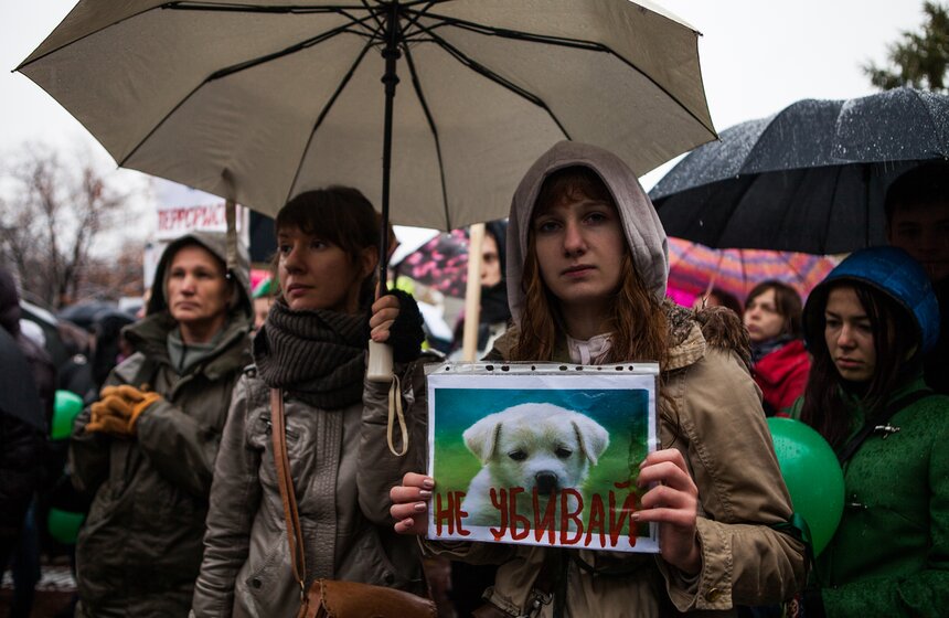 В Новопушкинском сквере прошел митинг против догхантеров 8 фото