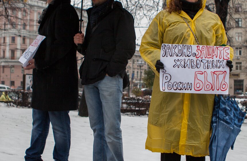 В Новопушкинском сквере прошел митинг против догхантеров 12 фото