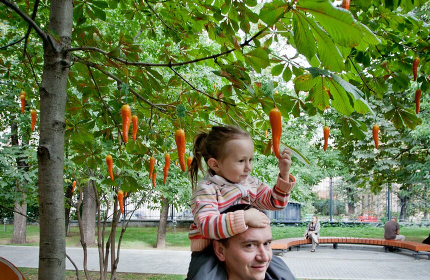 В саду имени Баумана состоялось шоу  "Цветной карнавал" 17 фото