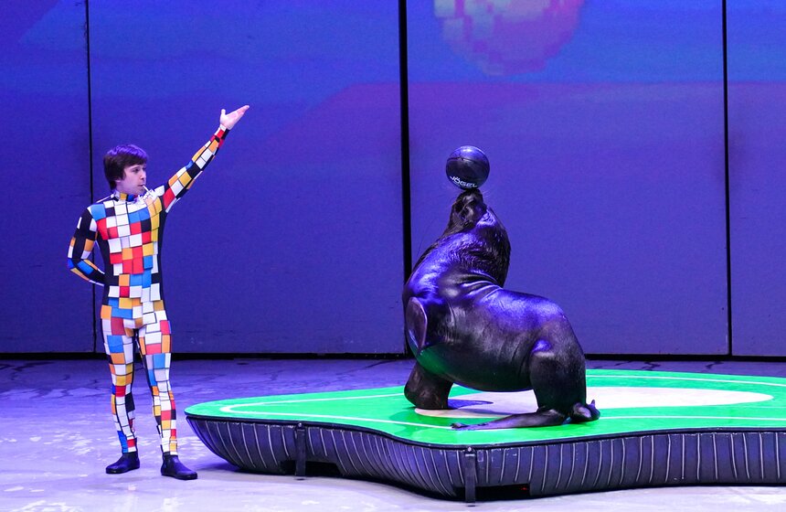 Шоу на водной сцене "Море снов" прошло в Москве 15 фото