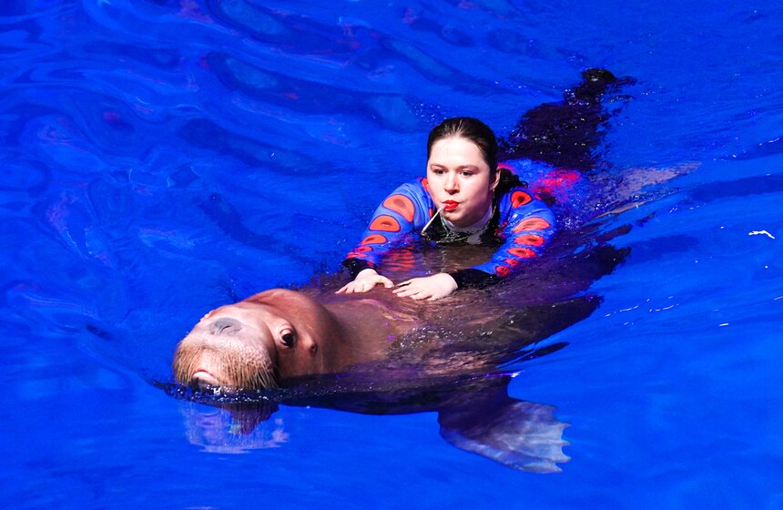 Шоу на водной сцене "Море снов" прошло в Москве 26 фото