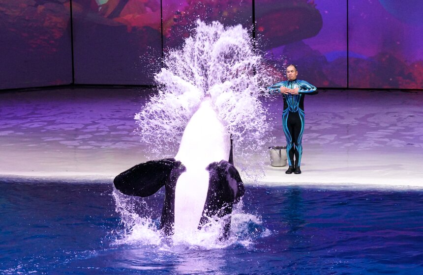 Шоу на водной сцене "Море снов" прошло в Москве 35 фото