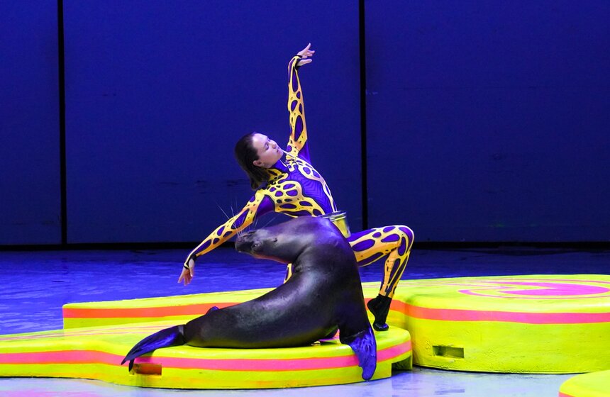 Шоу на водной сцене "Море снов" прошло в Москве 11 фото