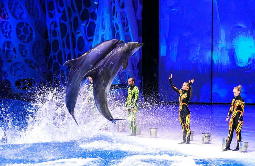 Шоу на водной сцене "Море снов" прошло в Москве 33 фото