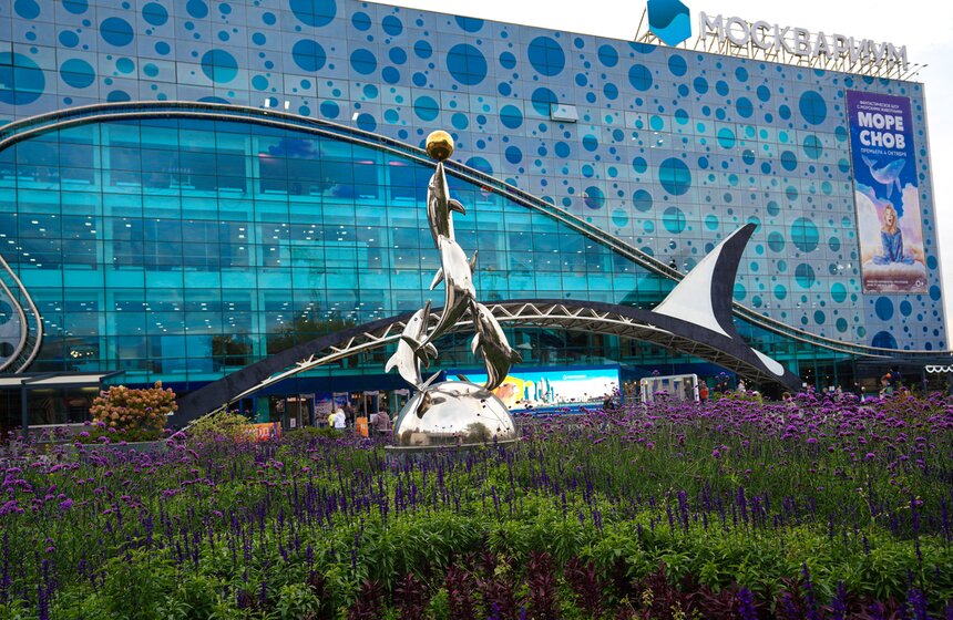 Шоу на водной сцене "Море снов" прошло в Москве 1 фото