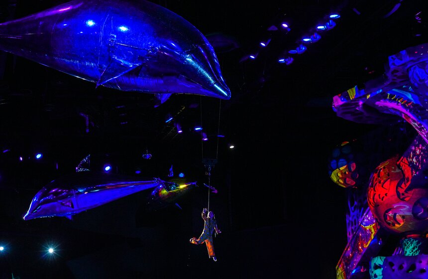 Шоу на водной сцене "Море снов" прошло в Москве 40 фото