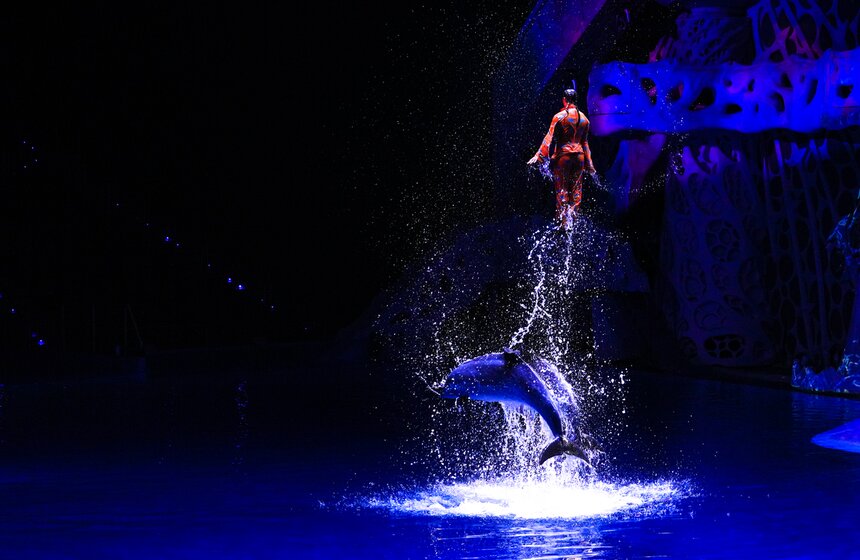 Шоу на водной сцене "Море снов" прошло в Москве 30 фото