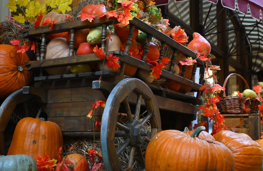 Осенние декорации украсили ГУМ 15 фото