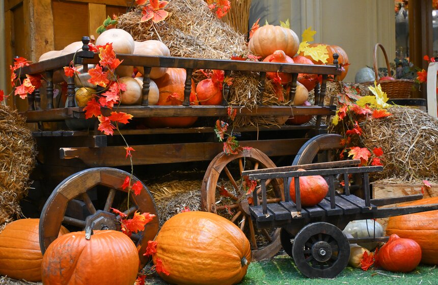 Осенние декорации украсили ГУМ 6 фото