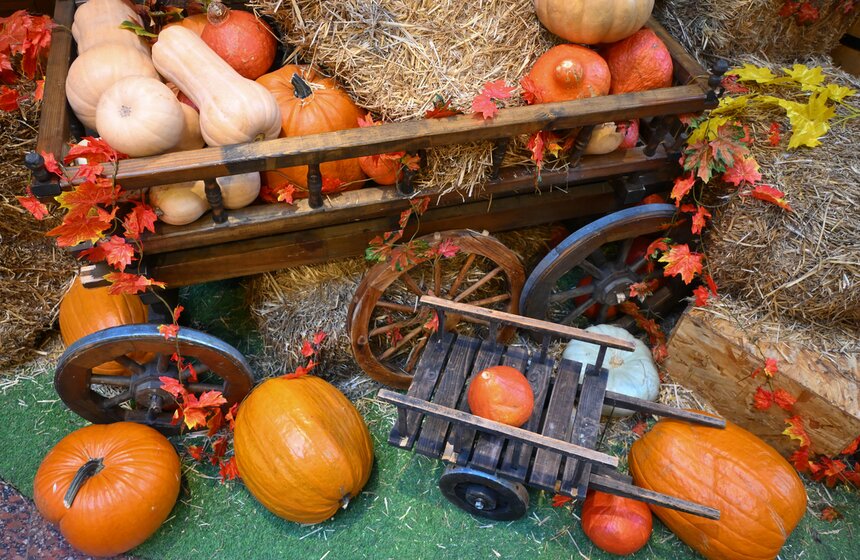 Осенние декорации украсили ГУМ 11 фото