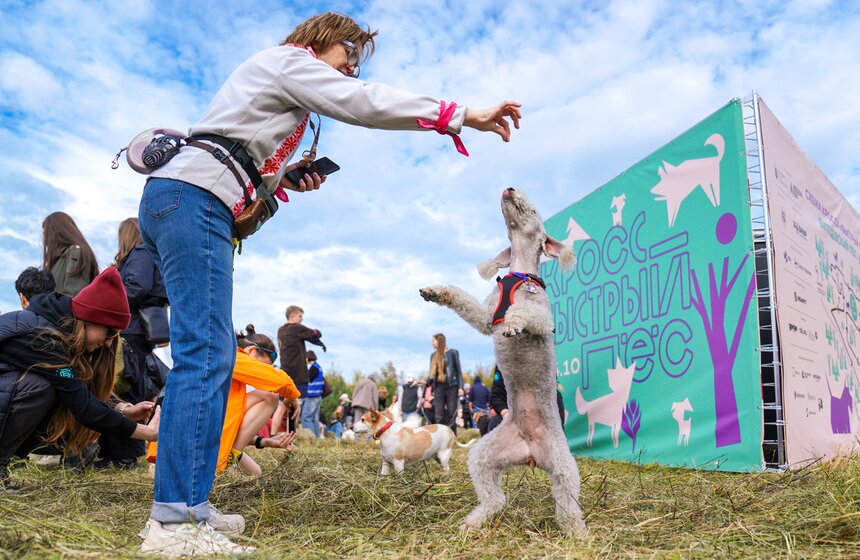 Кросс "Быстрый пес" прошел в Битцевском лесу 2 фото