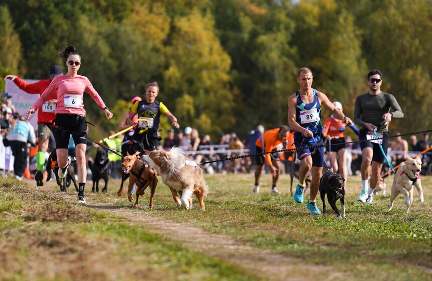 Кросс "Быстрый пес" прошел в Битцевском лесу 10 фото