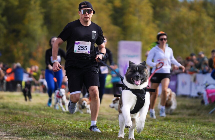 Кросс "Быстрый пес" прошел в Битцевском лесу 16 фото