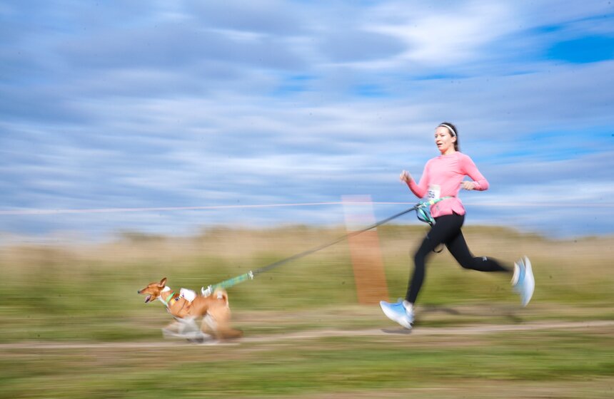 Кросс "Быстрый пес" прошел в Битцевском лесу 17 фото
