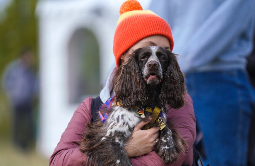 Кросс "Быстрый пес" прошел в Битцевском лесу 4 фото