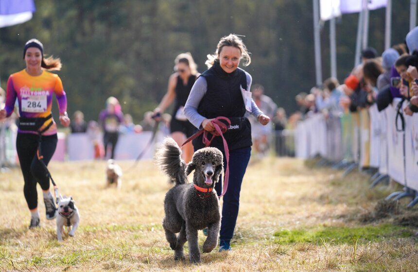 Кросс "Быстрый пес" прошел в Битцевском лесу 20 фото