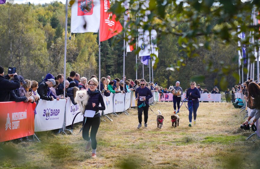Кросс "Быстрый пес" прошел в Битцевском лесу 23 фото