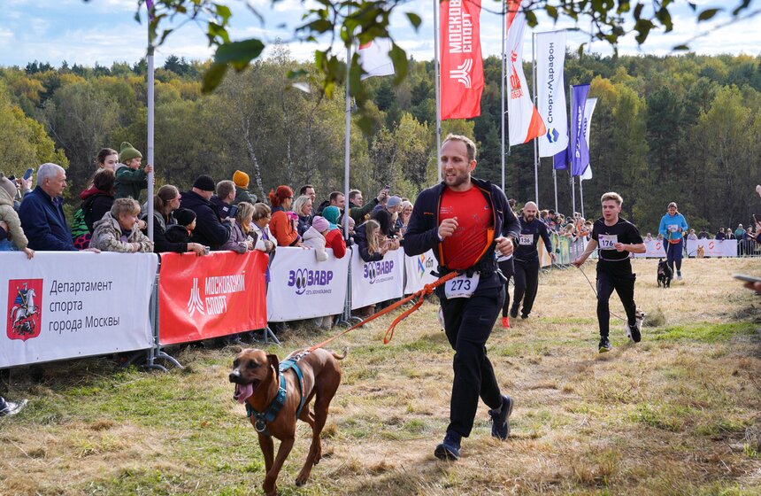Кросс "Быстрый пес" прошел в Битцевском лесу 18 фото
