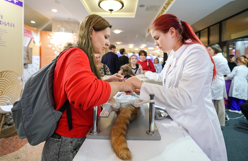 Всероссийский фестиваль "Наука 0+" прошел в Москве 21 фото