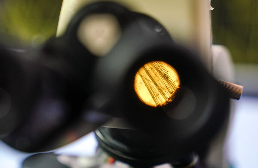 Всероссийский фестиваль "Наука 0+" прошел в Москве 8 фото