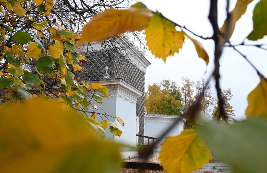 Три павильона начали реставрировать на ВДНХ 10 фото