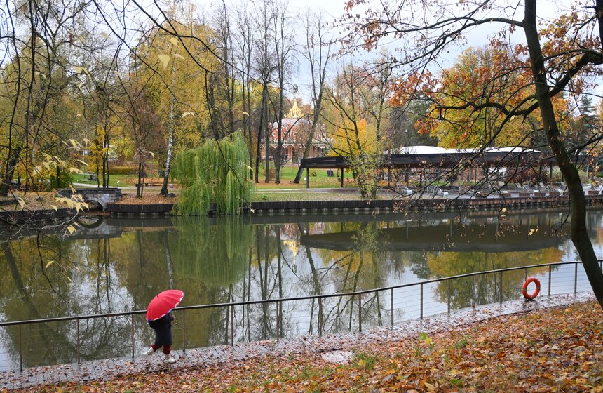 Три павильона начали реставрировать на ВДНХ 23 фото