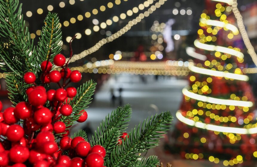 В столице официально стартовал зимний фестиваль "Зима в Москве" 27 фото