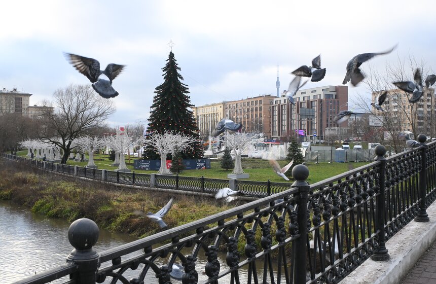 Новогодние фигуры "Полярные медведи" начали устанавливать в Москве 2 фото