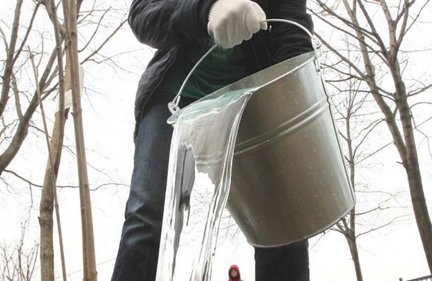 Сергей Собянин посадил деревья в ходе субботника 13 фото