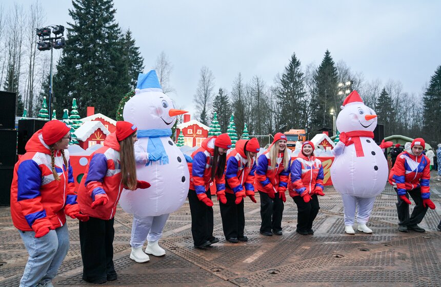 В Подмосковье выбрали и подготовили главную новогоднюю елку для Кремля 5 фото