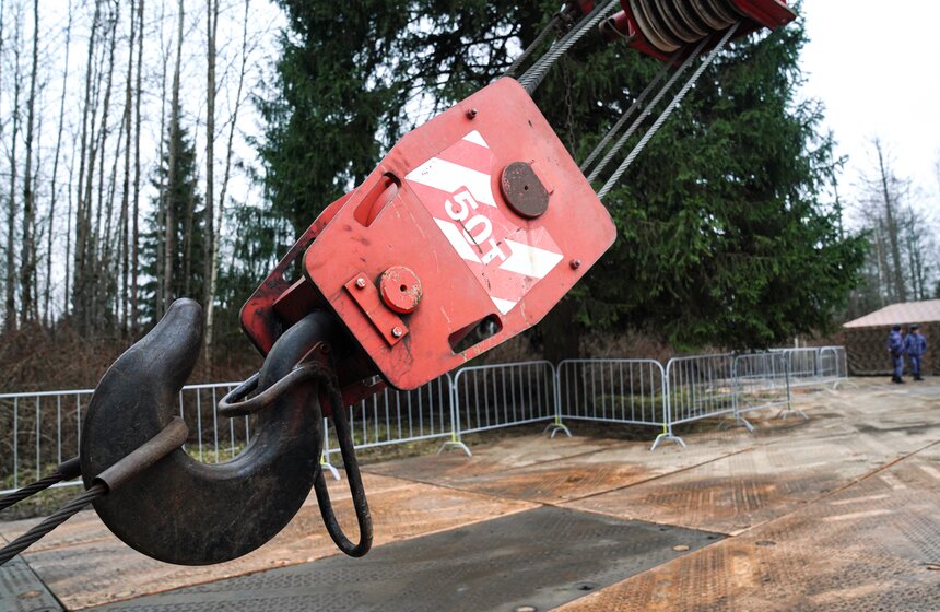 В Подмосковье выбрали и подготовили главную новогоднюю елку для Кремля 11 фото