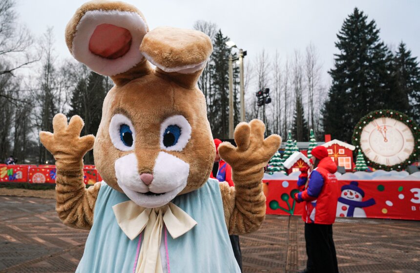 В Подмосковье выбрали и подготовили главную новогоднюю елку для Кремля 6 фото