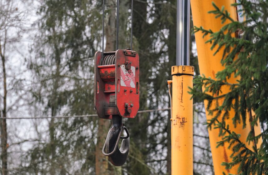 В Подмосковье выбрали и подготовили главную новогоднюю елку для Кремля 37 фото