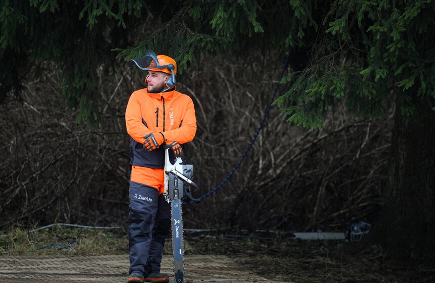 В Подмосковье выбрали и подготовили главную новогоднюю елку для Кремля 30 фото