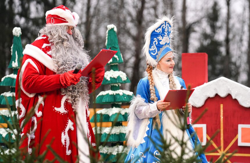 В Подмосковье выбрали и подготовили главную новогоднюю елку для Кремля 25 фото