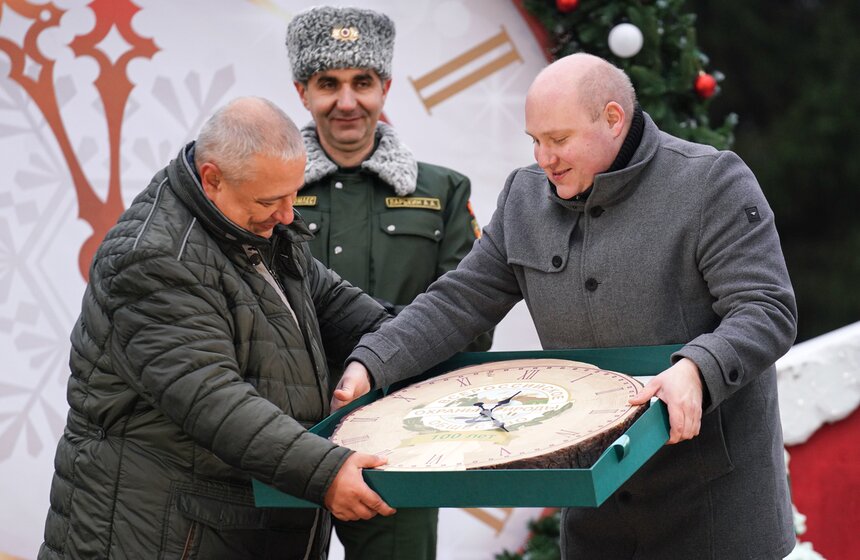 В Подмосковье выбрали и подготовили главную новогоднюю елку для Кремля 28 фото